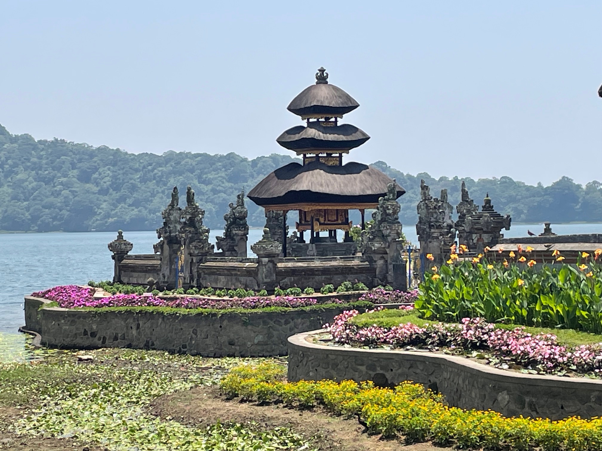 kostenloser Infoabend zum Seminar auf Bali
